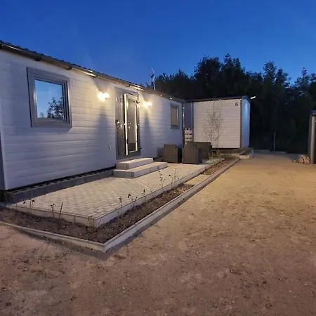 Debina Jalowcowa 8 *